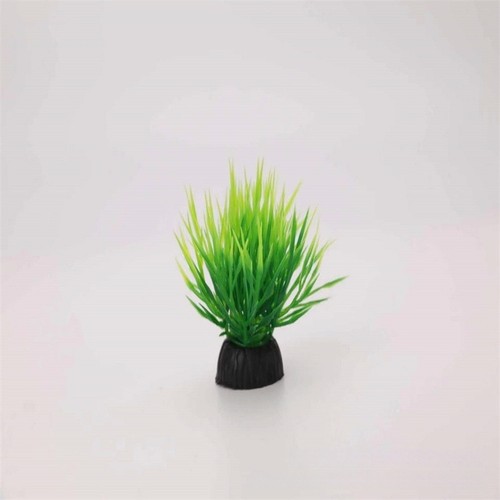 Plantes aquarium - plantes, d'aquarium
