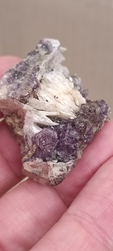Lot fluorines barytine - lot,