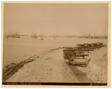 Fiorillo, Egypt, Alexandria