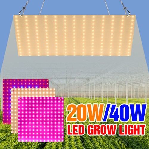Lampe led horticole étanche - lampe,