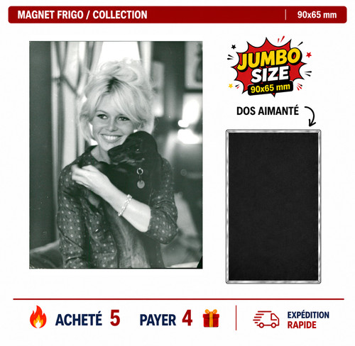 Magnet frigo brigitte - magnet,
