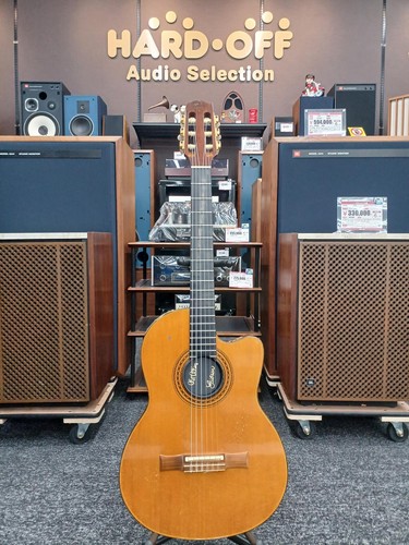 Guitare électrique acoustique