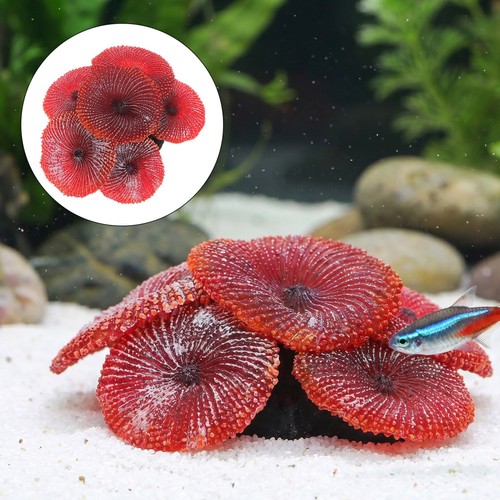 Décoration aquarium - ,