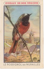 CHROMO OISEAUX DE NOS REGIONS