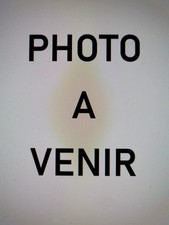 ALAIN-FOURNIER ROMANCIER, LE