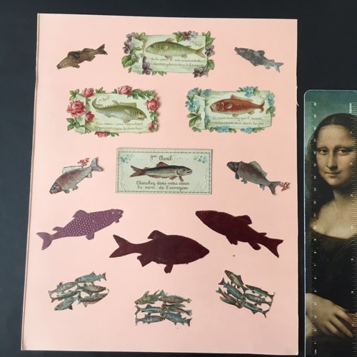 Chromos anciens poissons - chromos,