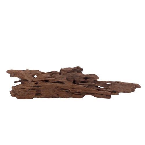 Honey peigne racine 2981 - l,