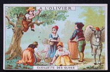 Chromo image A L'OLIVIER huile