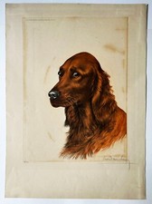 CHASSE - Léon DANCHIN (1887 -