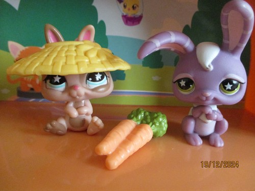 Petshop duo lapin nain 827 - nain, #827