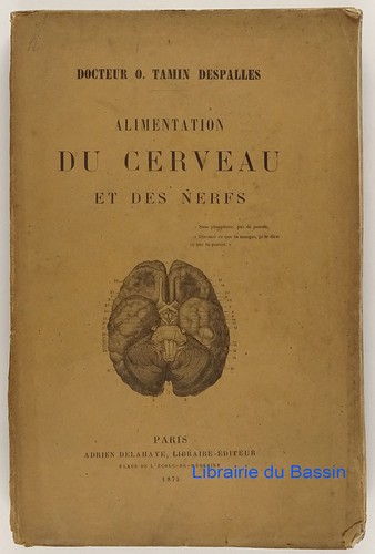 Alimentation cerveau des - du,
