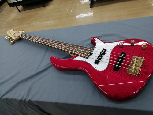 Basse électrique aria - aria, 5