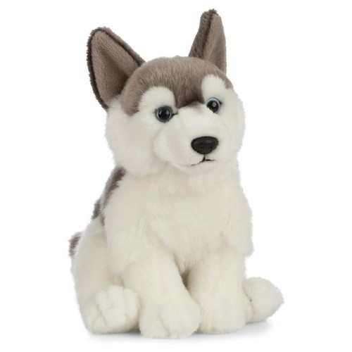 Husky chiot nature - chiot, de
