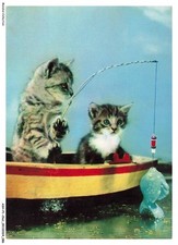 ASHP1-0044-CAT - A CAT AND A KITTEN FISHING
