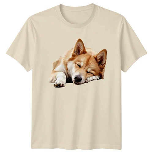 Sleeping shiba inu dogs - shiba,