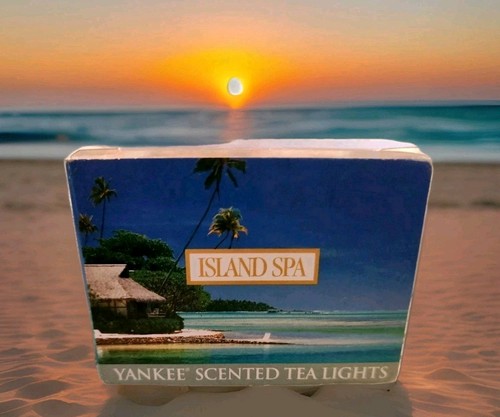Yankee candles pack scent - yankee,