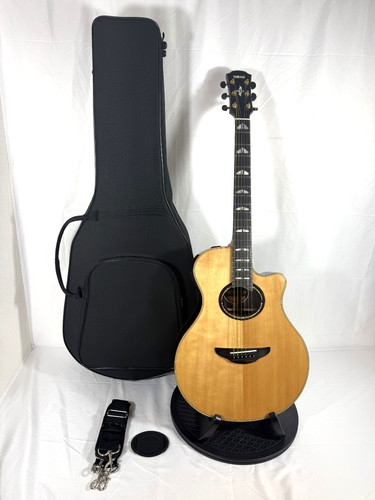 Guitare électrique acoustique