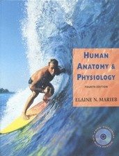 Humain Anatomy Et Physiologie