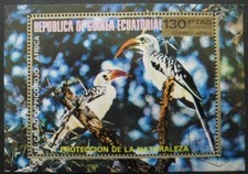 Guinée équatoriale OISEAUX