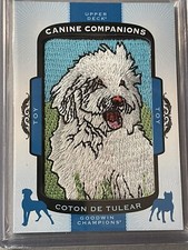 2018 Goodwin Champions Canine Companions Coton De Tulear