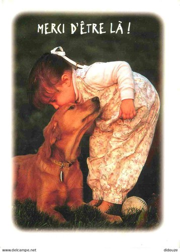 Carte postale animaux - postale,