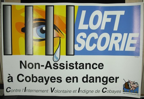Affiche critique cobayes - affiche,