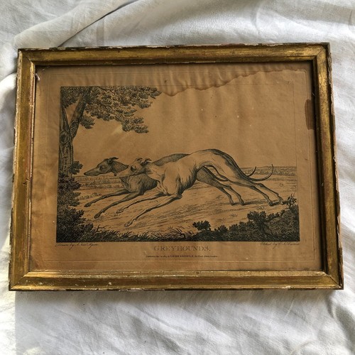 Gravure chasse chien - de,