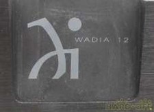 Wadia 12 DAC Digital to Analog Converter Vintage High-End Audio Japan