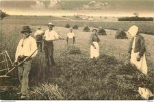 Postcard reproduction - Agriculture - En Beauce - Les Harvestonneurs - Peasants - C'étai