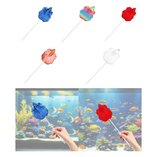 Entraînement pour poissons - pour,