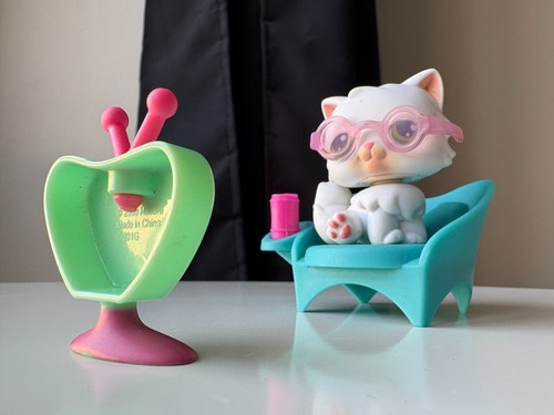 Petshop chat persan 15 - chat,