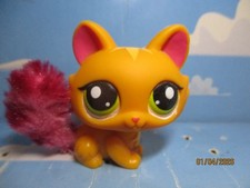 PETSHOP CHAT SPHYNX N°2576 /