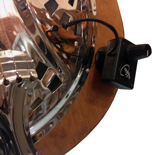Dobro round neck - round, resonator
