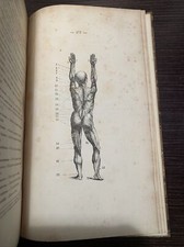 Eugène Paz - La gymnastique