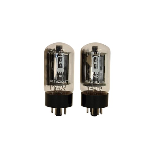6l6wgc str tad short - 6l6wgc-str,