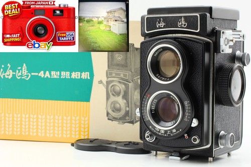 Top mint box - 〖top, seagull