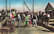 85 FROMENTINE BOAT DE L ILE D YEU