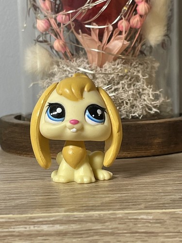 Petshop lapin bélier - 🌺,