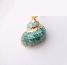 Pendentif Coquillage véritable et sa Chaine, Collier Homme, Femme