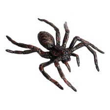 Jouet araignée et insecte