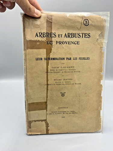 Arbres arbustes provence - et,