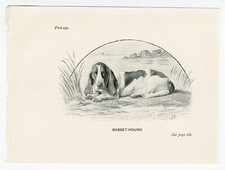 BASSET HOUND LITTLE ANTIQUE 1900 DOG ART PRINT