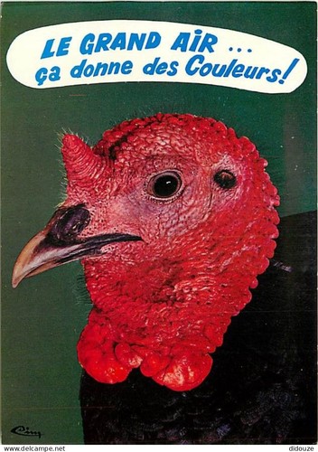 Carte postale animaux - carte,