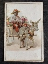 CHROMO CHICOREE BONNE