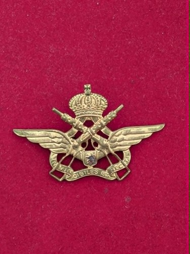 Insigne commando air armee - insigne,