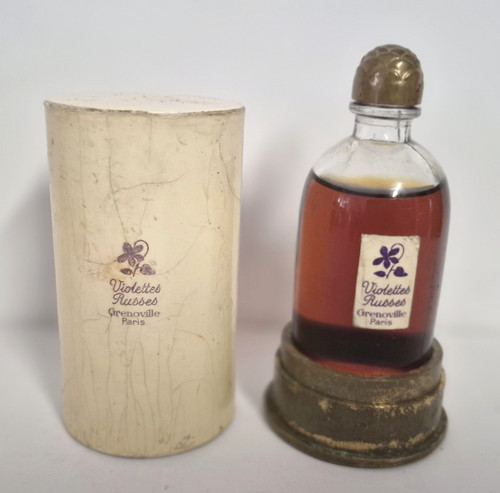 Violettes russes hauteur - violettes,