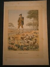 Gravures couleur 19° : Echasse berger Landescot