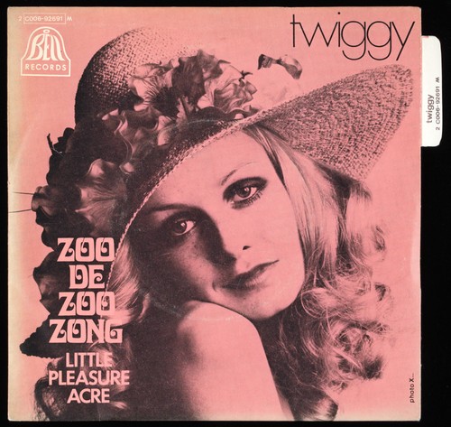 Twiggy zoo - -,
