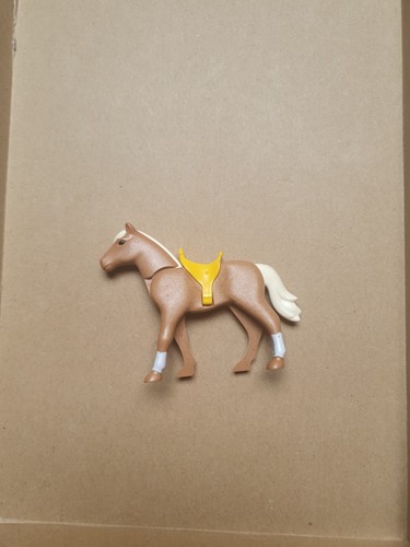 Cheval indien western - 1,