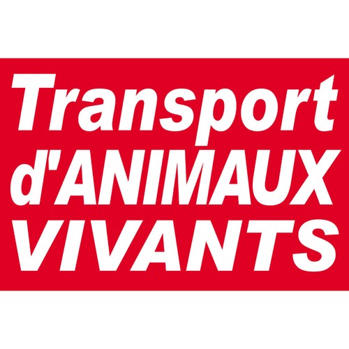 Transport animaux vivants - transport, d'animaux